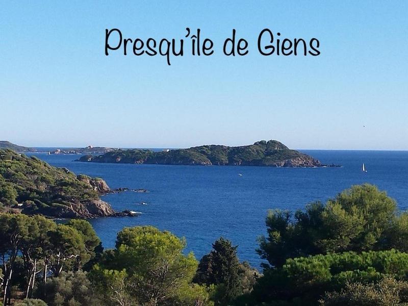 Plage A 400 M Studio Tout Confort Terrasse Clim Parking Hyères Eksteriør billede